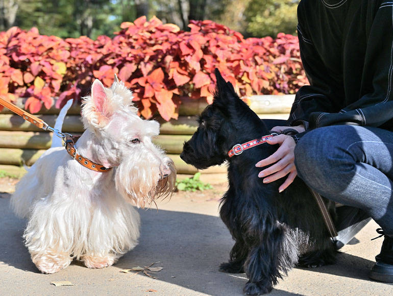 Point 03|“うちの子のこと”を安心して話せるつながり。