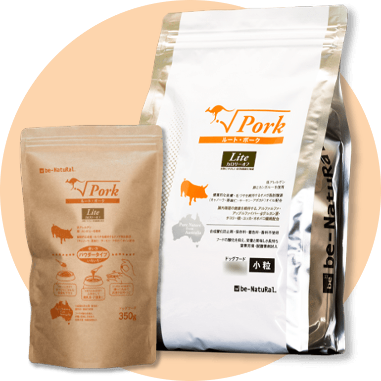 商品画像｜ルート・ポーク・ライト