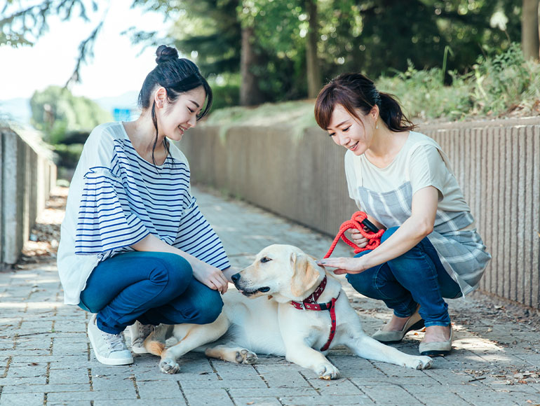 Promise 03|食事の悩みにみんなで寄り添います。