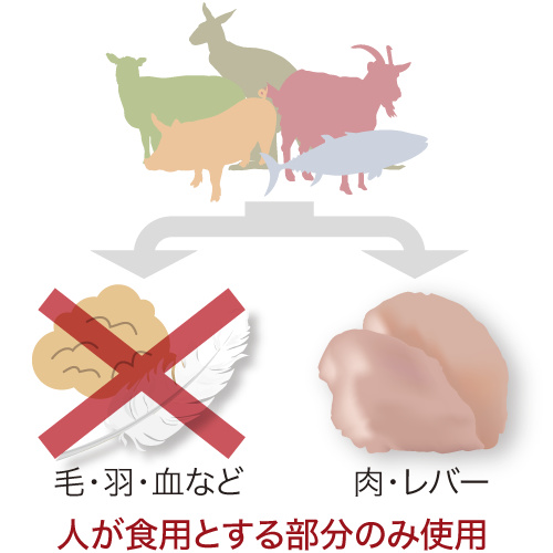 安心の理由２｜安心のオーストラリア産・ヒューマングレード原料を使用