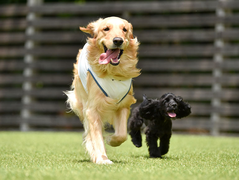 Important thing 03|ずっと元気でいてほしいを支える医療連携。