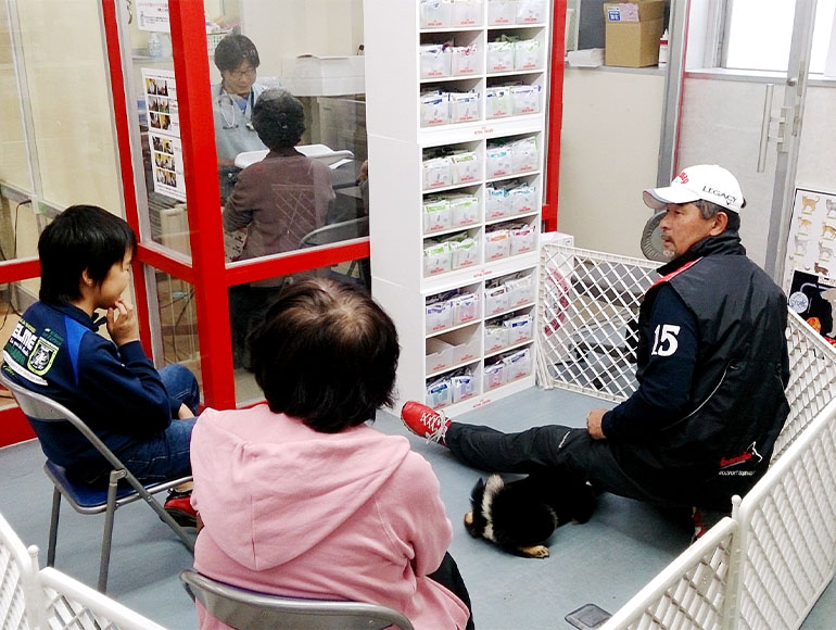 サポ－ト２｜しつけも一緒に学べるから安心