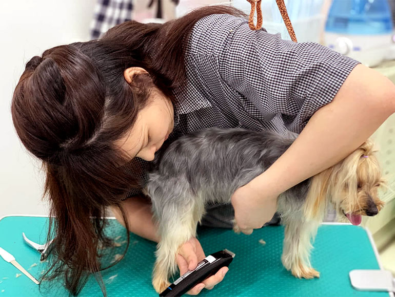 サポ－ト３｜トリミングで健康チェックも