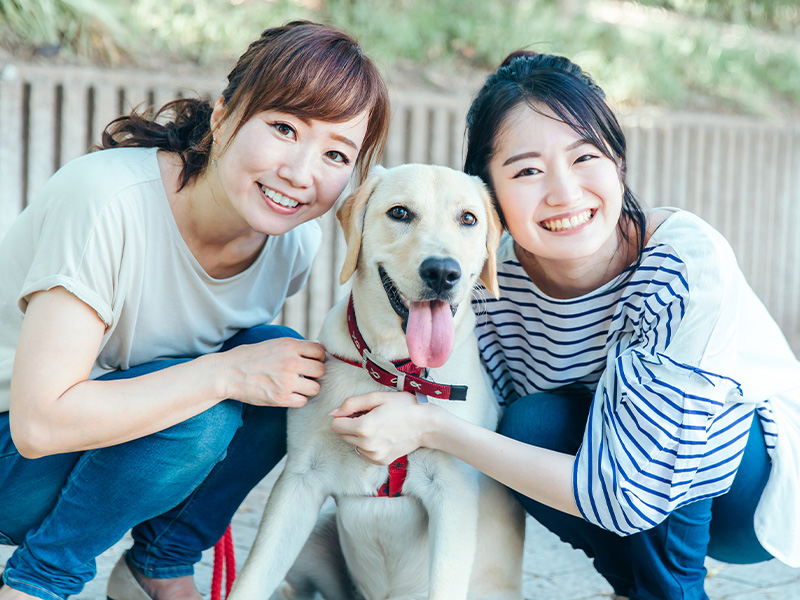 サービス４｜幸せドッグライフコミュニティ