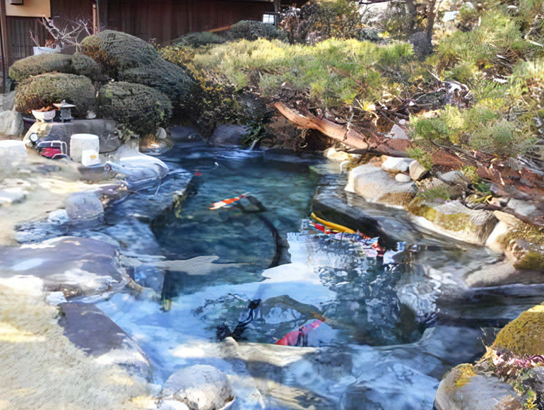 法人向け事業案内｜鑑賞池工事・錦鯉の販売