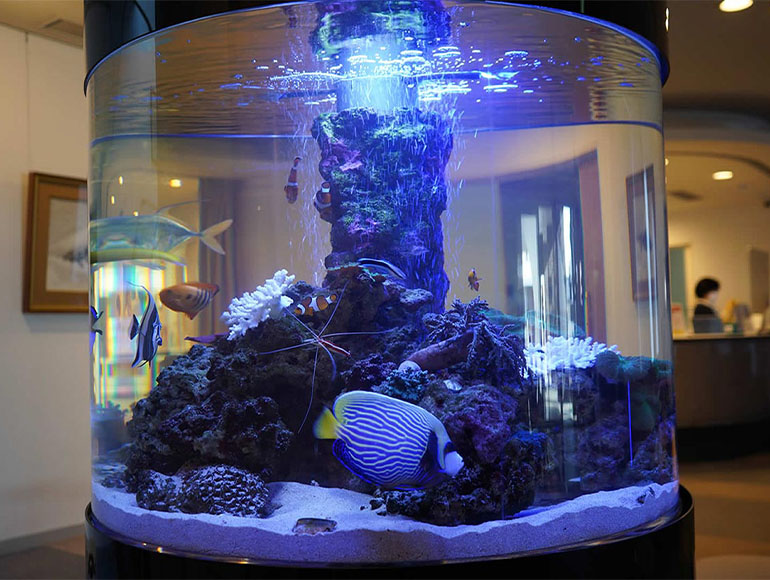 法人向け事業案内｜法人向けアクアリウム設置・リース